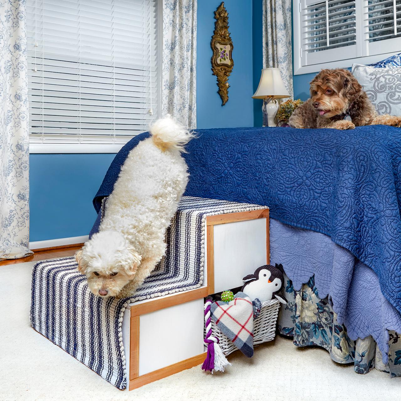 Diy pet shop stairs with storage